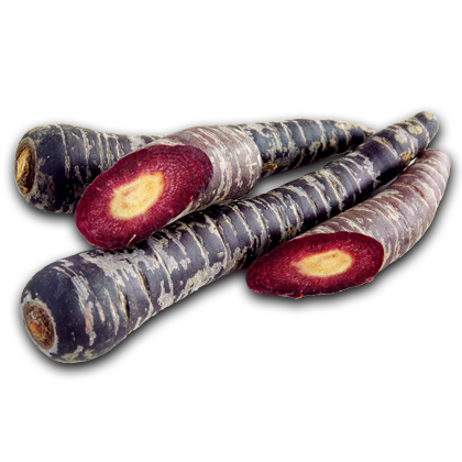 freigestelltes Bild einer schwarzen Karotte