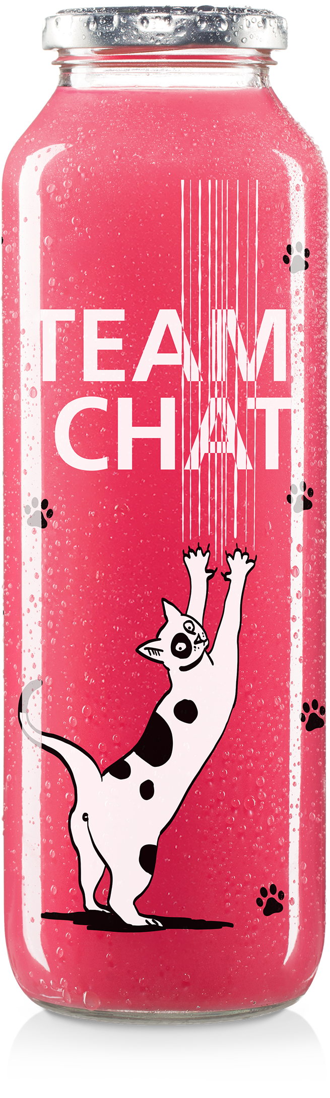 team chien ou team chat ?